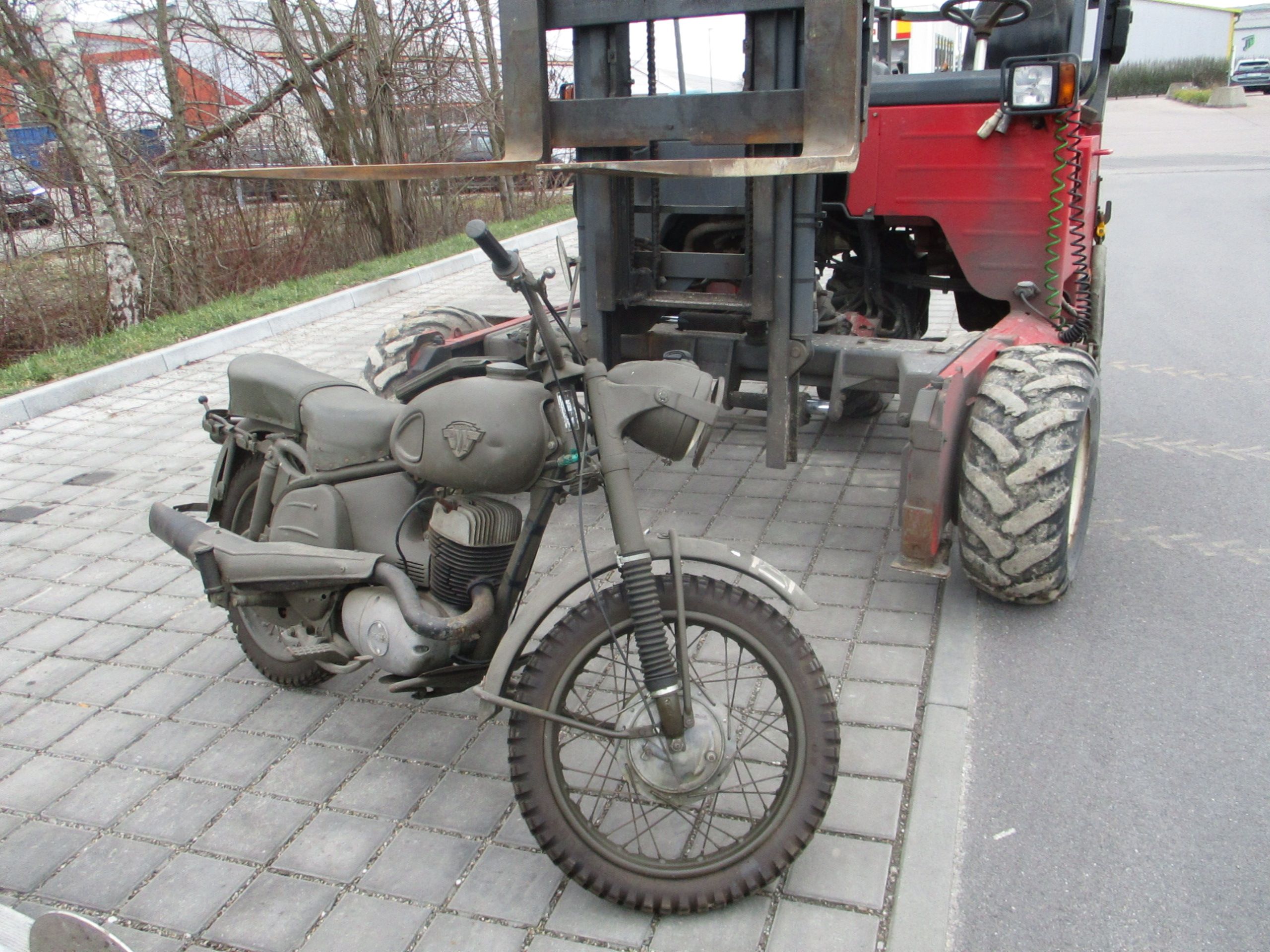 IMG_1256.jpg