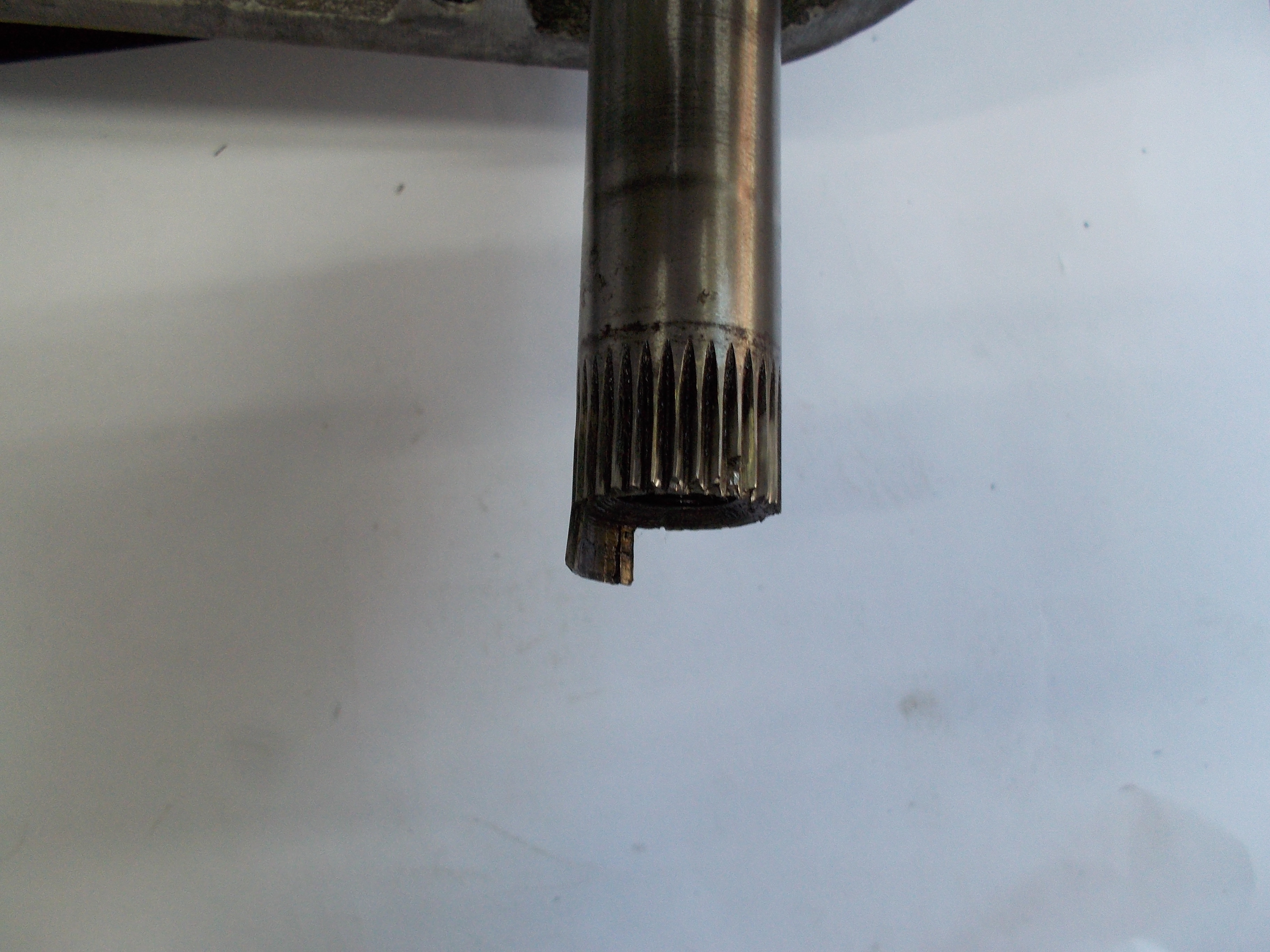 DSCN1309.JPG