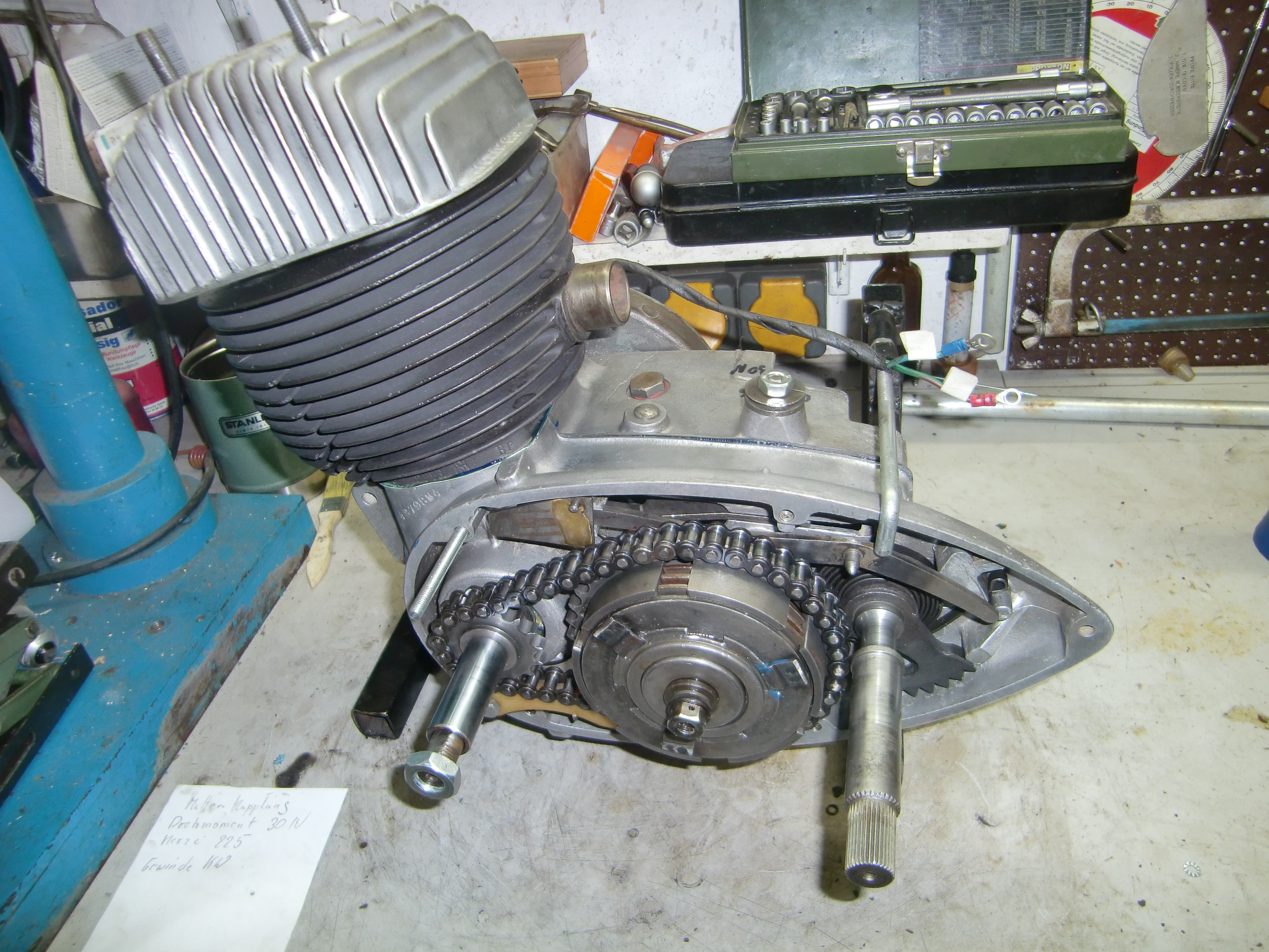 CIMG7339.JPG